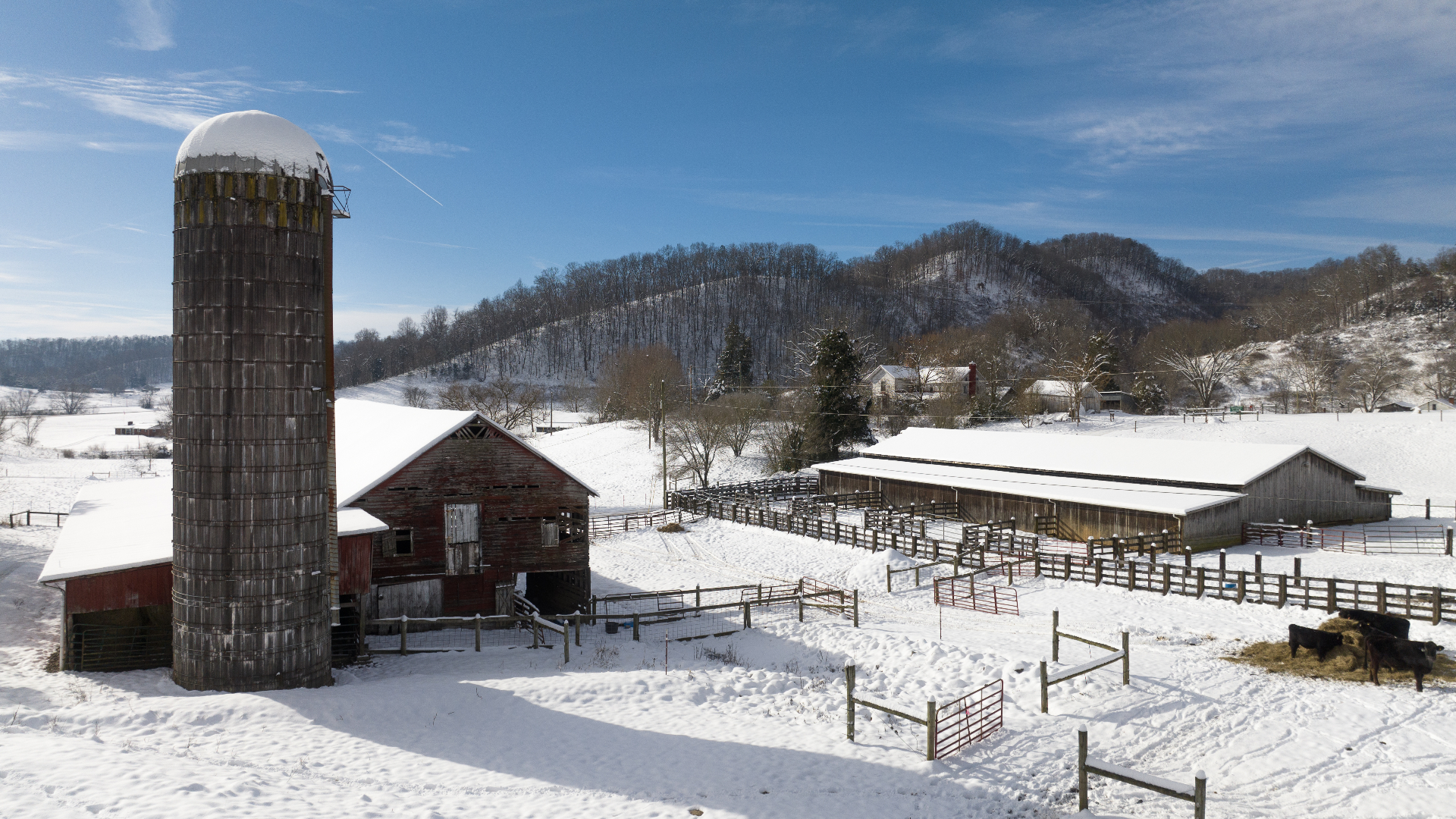 A snow-covered Hawkins County farm with a red barn, tall wooden silo, and cattle feeding on hay along the fence line.